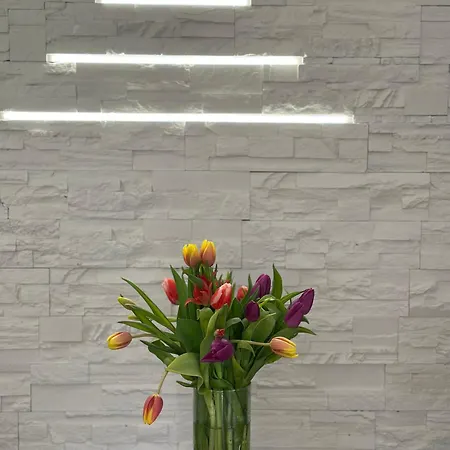 Hotel Brilliance Warna